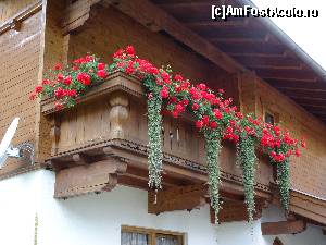 [P56] Austria, Waidring : din colecția de vile a localității » foto by mariana.olaru
 - 
<span class="allrVoted glyphicon glyphicon-heart hidden" id="av680947"></span>
<a class="m-l-10 hidden" id="sv680947" onclick="voting_Foto_DelVot(,680947,19484)" role="button">șterge vot <span class="glyphicon glyphicon-remove"></span></a>
<a id="v9680947" class=" c-red"  onclick="voting_Foto_SetVot(680947)" role="button"><span class="glyphicon glyphicon-heart-empty"></span> <b>LIKE</b> = Votează poza</a> <img class="hidden"  id="f680947W9" src="/imagini/loader.gif" border="0" /><span class="AjErrMes hidden" id="e680947ErM"></span>