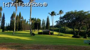 [P54] terenul de golf din Kapalua » foto by C@t@
 - 
<span class="allrVoted glyphicon glyphicon-heart hidden" id="av1009500"></span>
<a class="m-l-10 hidden" id="sv1009500" onclick="voting_Foto_DelVot(,1009500,19555)" role="button">șterge vot <span class="glyphicon glyphicon-remove"></span></a>
<a id="v91009500" class=" c-red"  onclick="voting_Foto_SetVot(1009500)" role="button"><span class="glyphicon glyphicon-heart-empty"></span> <b>LIKE</b> = Votează poza</a> <img class="hidden"  id="f1009500W9" src="/imagini/loader.gif" border="0" /><span class="AjErrMes hidden" id="e1009500ErM"></span>