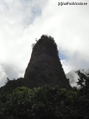 [P09] Parc national Maui » foto by Noha
 - 
<span class="allrVoted glyphicon glyphicon-heart hidden" id="av686174"></span>
<a class="m-l-10 hidden" id="sv686174" onclick="voting_Foto_DelVot(,686174,19555)" role="button">șterge vot <span class="glyphicon glyphicon-remove"></span></a>
<a id="v9686174" class=" c-red"  onclick="voting_Foto_SetVot(686174)" role="button"><span class="glyphicon glyphicon-heart-empty"></span> <b>LIKE</b> = Votează poza</a> <img class="hidden"  id="f686174W9" src="/imagini/loader.gif" border="0" /><span class="AjErrMes hidden" id="e686174ErM"></span>