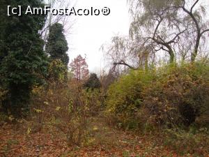 [P67] Spunem ”La revedere! ” acestui obiectiv. Sperăm să revenim cândva la Grădina Botanică ”Dimitrie Brândză” a Universității din București!  » foto by Floryn81
 - 
<span class="allrVoted glyphicon glyphicon-heart hidden" id="av832455"></span>
<a class="m-l-10 hidden" id="sv832455" onclick="voting_Foto_DelVot(,832455,19622)" role="button">șterge vot <span class="glyphicon glyphicon-remove"></span></a>
<a id="v9832455" class=" c-red"  onclick="voting_Foto_SetVot(832455)" role="button"><span class="glyphicon glyphicon-heart-empty"></span> <b>LIKE</b> = Votează poza</a> <img class="hidden"  id="f832455W9" src="/imagini/loader.gif" border="0" /><span class="AjErrMes hidden" id="e832455ErM"></span>