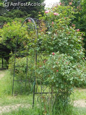 [P10] București - Grădina Botanică "Dimitrie Brândză". » foto by iulianic
 - 
<span class="allrVoted glyphicon glyphicon-heart hidden" id="av1364204"></span>
<a class="m-l-10 hidden" id="sv1364204" onclick="voting_Foto_DelVot(,1364204,19622)" role="button">șterge vot <span class="glyphicon glyphicon-remove"></span></a>
<a id="v91364204" class=" c-red"  onclick="voting_Foto_SetVot(1364204)" role="button"><span class="glyphicon glyphicon-heart-empty"></span> <b>LIKE</b> = Votează poza</a> <img class="hidden"  id="f1364204W9" src="/imagini/loader.gif" border="0" /><span class="AjErrMes hidden" id="e1364204ErM"></span>