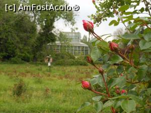 [P12] București - Grădina Botanică "Dimitrie Brândză". » foto by iulianic
 - 
<span class="allrVoted glyphicon glyphicon-heart hidden" id="av1364206"></span>
<a class="m-l-10 hidden" id="sv1364206" onclick="voting_Foto_DelVot(,1364206,19622)" role="button">șterge vot <span class="glyphicon glyphicon-remove"></span></a>
<a id="v91364206" class=" c-red"  onclick="voting_Foto_SetVot(1364206)" role="button"><span class="glyphicon glyphicon-heart-empty"></span> <b>LIKE</b> = Votează poza</a> <img class="hidden"  id="f1364206W9" src="/imagini/loader.gif" border="0" /><span class="AjErrMes hidden" id="e1364206ErM"></span>