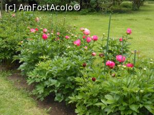 [P16] București - Grădina Botanică "Dimitrie Brândză". » foto by iulianic
 - 
<span class="allrVoted glyphicon glyphicon-heart hidden" id="av1364210"></span>
<a class="m-l-10 hidden" id="sv1364210" onclick="voting_Foto_DelVot(,1364210,19622)" role="button">șterge vot <span class="glyphicon glyphicon-remove"></span></a>
<a id="v91364210" class=" c-red"  onclick="voting_Foto_SetVot(1364210)" role="button"><span class="glyphicon glyphicon-heart-empty"></span> <b>LIKE</b> = Votează poza</a> <img class="hidden"  id="f1364210W9" src="/imagini/loader.gif" border="0" /><span class="AjErrMes hidden" id="e1364210ErM"></span>