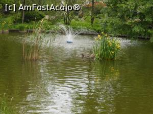 [P20] București - Grădina Botanică "Dimitrie Brândză". » foto by iulianic
 - 
<span class="allrVoted glyphicon glyphicon-heart hidden" id="av1364214"></span>
<a class="m-l-10 hidden" id="sv1364214" onclick="voting_Foto_DelVot(,1364214,19622)" role="button">șterge vot <span class="glyphicon glyphicon-remove"></span></a>
<a id="v91364214" class=" c-red"  onclick="voting_Foto_SetVot(1364214)" role="button"><span class="glyphicon glyphicon-heart-empty"></span> <b>LIKE</b> = Votează poza</a> <img class="hidden"  id="f1364214W9" src="/imagini/loader.gif" border="0" /><span class="AjErrMes hidden" id="e1364214ErM"></span>