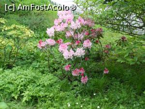 [P07] București - Grădina Botanică "Dimitrie Brândză". » foto by iulianic
 - 
<span class="allrVoted glyphicon glyphicon-heart hidden" id="av1364201"></span>
<a class="m-l-10 hidden" id="sv1364201" onclick="voting_Foto_DelVot(,1364201,19622)" role="button">șterge vot <span class="glyphicon glyphicon-remove"></span></a>
<a id="v91364201" class=" c-red"  onclick="voting_Foto_SetVot(1364201)" role="button"><span class="glyphicon glyphicon-heart-empty"></span> <b>LIKE</b> = Votează poza</a> <img class="hidden"  id="f1364201W9" src="/imagini/loader.gif" border="0" /><span class="AjErrMes hidden" id="e1364201ErM"></span>