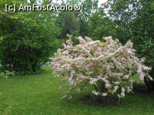 [P08] București - Grădina Botanică "Dimitrie Brândză". » foto by iulianic
 - 
<span class="allrVoted glyphicon glyphicon-heart hidden" id="av1364202"></span>
<a class="m-l-10 hidden" id="sv1364202" onclick="voting_Foto_DelVot(,1364202,19622)" role="button">șterge vot <span class="glyphicon glyphicon-remove"></span></a>
<a id="v91364202" class=" c-red"  onclick="voting_Foto_SetVot(1364202)" role="button"><span class="glyphicon glyphicon-heart-empty"></span> <b>LIKE</b> = Votează poza</a> <img class="hidden"  id="f1364202W9" src="/imagini/loader.gif" border="0" /><span class="AjErrMes hidden" id="e1364202ErM"></span>