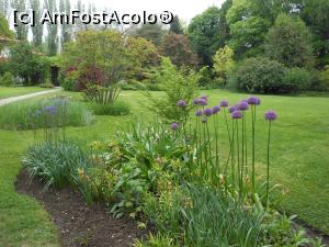 [P09] București - Grădina Botanică "Dimitrie Brândză". » foto by iulianic
 - 
<span class="allrVoted glyphicon glyphicon-heart hidden" id="av1364203"></span>
<a class="m-l-10 hidden" id="sv1364203" onclick="voting_Foto_DelVot(,1364203,19622)" role="button">șterge vot <span class="glyphicon glyphicon-remove"></span></a>
<a id="v91364203" class=" c-red"  onclick="voting_Foto_SetVot(1364203)" role="button"><span class="glyphicon glyphicon-heart-empty"></span> <b>LIKE</b> = Votează poza</a> <img class="hidden"  id="f1364203W9" src="/imagini/loader.gif" border="0" /><span class="AjErrMes hidden" id="e1364203ErM"></span>