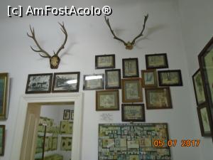 [P08] Peisaje din Grădina Botanică realizate în creion de pictorul A. Popa și panou cu lumea plantelor și animalelor în filatelie » foto by Mitica49
 - 
<span class="allrVoted glyphicon glyphicon-heart hidden" id="av965235"></span>
<a class="m-l-10 hidden" id="sv965235" onclick="voting_Foto_DelVot(,965235,19622)" role="button">șterge vot <span class="glyphicon glyphicon-remove"></span></a>
<a id="v9965235" class=" c-red"  onclick="voting_Foto_SetVot(965235)" role="button"><span class="glyphicon glyphicon-heart-empty"></span> <b>LIKE</b> = Votează poza</a> <img class="hidden"  id="f965235W9" src="/imagini/loader.gif" border="0" /><span class="AjErrMes hidden" id="e965235ErM"></span>