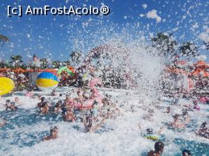 [P01] POOL PARTY » foto by Cecy
 - 
<span class="allrVoted glyphicon glyphicon-heart hidden" id="av1020342"></span>
<a class="m-l-10 hidden" id="sv1020342" onclick="voting_Foto_DelVot(,1020342,19659)" role="button">șterge vot <span class="glyphicon glyphicon-remove"></span></a>
<a id="v91020342" class=" c-red"  onclick="voting_Foto_SetVot(1020342)" role="button"><span class="glyphicon glyphicon-heart-empty"></span> <b>LIKE</b> = Votează poza</a> <img class="hidden"  id="f1020342W9" src="/imagini/loader.gif" border="0" /><span class="AjErrMes hidden" id="e1020342ErM"></span>