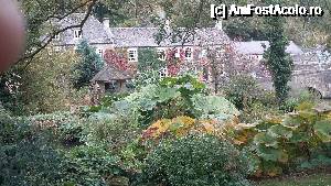 P10 [OCT-2015] Verdeață în Ferma de Păstrăv din satul Bibury, ținutul Cotswolds, Anglia. 