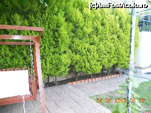 [P08]  -- <small>// FĂRĂ DESCRIERE</small> » foto by callatis06
 - 
<span class="allrVoted glyphicon glyphicon-heart hidden" id="av696708"></span>
<a class="m-l-10 hidden" id="sv696708" onclick="voting_Foto_DelVot(,696708,19735)" role="button">șterge vot <span class="glyphicon glyphicon-remove"></span></a>
<a id="v9696708" class=" c-red"  onclick="voting_Foto_SetVot(696708)" role="button"><span class="glyphicon glyphicon-heart-empty"></span> <b>LIKE</b> = Votează poza</a> <img class="hidden"  id="f696708W9" src="/imagini/loader.gif" border="0" /><span class="AjErrMes hidden" id="e696708ErM"></span>