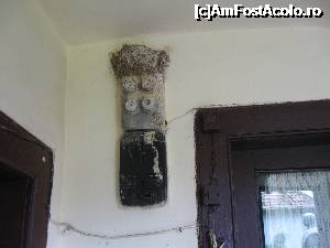 [P17] 17. Deasupra vechiului tablou electric ne surprinde un cuib de rândunici » foto by doinafil
 - 
<span class="allrVoted glyphicon glyphicon-heart hidden" id="av698401"></span>
<a class="m-l-10 hidden" id="sv698401" onclick="voting_Foto_DelVot(,698401,19757)" role="button">șterge vot <span class="glyphicon glyphicon-remove"></span></a>
<a id="v9698401" class=" c-red"  onclick="voting_Foto_SetVot(698401)" role="button"><span class="glyphicon glyphicon-heart-empty"></span> <b>LIKE</b> = Votează poza</a> <img class="hidden"  id="f698401W9" src="/imagini/loader.gif" border="0" /><span class="AjErrMes hidden" id="e698401ErM"></span>