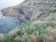 [P06] Cactusi la Cap Sunion. » foto by iulianic
 - 
<span class="allrVoted glyphicon glyphicon-heart hidden" id="av227343"></span>
<a class="m-l-10 hidden" id="sv227343" onclick="voting_Foto_DelVot(,227343,19763)" role="button">șterge vot <span class="glyphicon glyphicon-remove"></span></a>
<a id="v9227343" class=" c-red"  onclick="voting_Foto_SetVot(227343)" role="button"><span class="glyphicon glyphicon-heart-empty"></span> <b>LIKE</b> = Votează poza</a> <img class="hidden"  id="f227343W9" src="/imagini/loader.gif" border="0" /><span class="AjErrMes hidden" id="e227343ErM"></span>