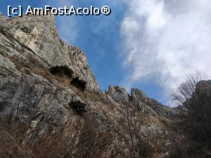 [P09] Piatra Secuiului 1128m » foto by Dana2008
 - 
<span class="allrVoted glyphicon glyphicon-heart hidden" id="av1146304"></span>
<a class="m-l-10 hidden" id="sv1146304" onclick="voting_Foto_DelVot(,1146304,19767)" role="button">șterge vot <span class="glyphicon glyphicon-remove"></span></a>
<a id="v91146304" class=" c-red"  onclick="voting_Foto_SetVot(1146304)" role="button"><span class="glyphicon glyphicon-heart-empty"></span> <b>LIKE</b> = Votează poza</a> <img class="hidden"  id="f1146304W9" src="/imagini/loader.gif" border="0" /><span class="AjErrMes hidden" id="e1146304ErM"></span>