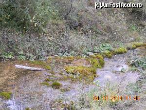 P07 [OCT-2014] Cascada Pisoaia minune a naturii