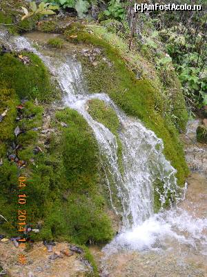 P08 [OCT-2014] Cascada Pisoaia minune a naturii