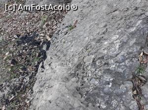 [P01]  -- <small>// FĂRĂ DESCRIERE</small> » foto by Miriam
 - 
<span class="allrVoted glyphicon glyphicon-heart hidden" id="av913694"></span>
<a class="m-l-10 hidden" id="sv913694" onclick="voting_Foto_DelVot(,913694,19774)" role="button">șterge vot <span class="glyphicon glyphicon-remove"></span></a>
<a id="v9913694" class=" c-red"  onclick="voting_Foto_SetVot(913694)" role="button"><span class="glyphicon glyphicon-heart-empty"></span> <b>LIKE</b> = Votează poza</a> <img class="hidden"  id="f913694W9" src="/imagini/loader.gif" border="0" /><span class="AjErrMes hidden" id="e913694ErM"></span>