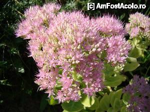 [P41] „Cascada Pişoaia” » foto by Utube
 - 
<span class="allrVoted glyphicon glyphicon-heart hidden" id="av410672"></span>
<a class="m-l-10 hidden" id="sv410672" onclick="voting_Foto_DelVot(,410672,19774)" role="button">șterge vot <span class="glyphicon glyphicon-remove"></span></a>
<a id="v9410672" class=" c-red"  onclick="voting_Foto_SetVot(410672)" role="button"><span class="glyphicon glyphicon-heart-empty"></span> <b>LIKE</b> = Votează poza</a> <img class="hidden"  id="f410672W9" src="/imagini/loader.gif" border="0" /><span class="AjErrMes hidden" id="e410672ErM"></span>