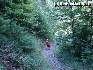 [P43] „Cascada Pişoaia” / Coborârea este abruptă iar pietrişul alunecă tare de sub picioare.  » foto by Utube
 - 
<span class="allrVoted glyphicon glyphicon-heart hidden" id="av410674"></span>
<a class="m-l-10 hidden" id="sv410674" onclick="voting_Foto_DelVot(,410674,19774)" role="button">șterge vot <span class="glyphicon glyphicon-remove"></span></a>
<a id="v9410674" class=" c-red"  onclick="voting_Foto_SetVot(410674)" role="button"><span class="glyphicon glyphicon-heart-empty"></span> <b>LIKE</b> = Votează poza</a> <img class="hidden"  id="f410674W9" src="/imagini/loader.gif" border="0" /><span class="AjErrMes hidden" id="e410674ErM"></span>