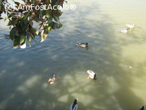 [P08] In apropiere, Tajo.  » foto by cristina47*
 - 
<span class="allrVoted glyphicon glyphicon-heart hidden" id="av706306"></span>
<a class="m-l-10 hidden" id="sv706306" onclick="voting_Foto_DelVot(,706306,19825)" role="button">șterge vot <span class="glyphicon glyphicon-remove"></span></a>
<a id="v9706306" class=" c-red"  onclick="voting_Foto_SetVot(706306)" role="button"><span class="glyphicon glyphicon-heart-empty"></span> <b>LIKE</b> = Votează poza</a> <img class="hidden"  id="f706306W9" src="/imagini/loader.gif" border="0" /><span class="AjErrMes hidden" id="e706306ErM"></span>
