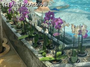 [P13] Therme - culoare » foto by mishu
 - 
<span class="allrVoted glyphicon glyphicon-heart hidden" id="av1326529"></span>
<a class="m-l-10 hidden" id="sv1326529" onclick="voting_Foto_DelVot(,1326529,19847)" role="button">șterge vot <span class="glyphicon glyphicon-remove"></span></a>
<a id="v91326529" class=" c-red"  onclick="voting_Foto_SetVot(1326529)" role="button"><span class="glyphicon glyphicon-heart-empty"></span> <b>LIKE</b> = Votează poza</a> <img class="hidden"  id="f1326529W9" src="/imagini/loader.gif" border="0" /><span class="AjErrMes hidden" id="e1326529ErM"></span>