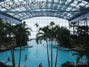 [P03] Piscina zona The Palm » foto by oanacris
 - 
<span class="allrVoted glyphicon glyphicon-heart hidden" id="av712716"></span>
<a class="m-l-10 hidden" id="sv712716" onclick="voting_Foto_DelVot(,712716,19847)" role="button">șterge vot <span class="glyphicon glyphicon-remove"></span></a>
<a id="v9712716" class=" c-red"  onclick="voting_Foto_SetVot(712716)" role="button"><span class="glyphicon glyphicon-heart-empty"></span> <b>LIKE</b> = Votează poza</a> <img class="hidden"  id="f712716W9" src="/imagini/loader.gif" border="0" /><span class="AjErrMes hidden" id="e712716ErM"></span>