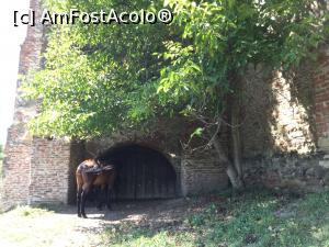 [P56] Cetatea Slimnic - pe langa cetate » foto by mishu
 - 
<span class="allrVoted glyphicon glyphicon-heart hidden" id="av892422"></span>
<a class="m-l-10 hidden" id="sv892422" onclick="voting_Foto_DelVot(,892422,19908)" role="button">șterge vot <span class="glyphicon glyphicon-remove"></span></a>
<a id="v9892422" class=" c-red"  onclick="voting_Foto_SetVot(892422)" role="button"><span class="glyphicon glyphicon-heart-empty"></span> <b>LIKE</b> = Votează poza</a> <img class="hidden"  id="f892422W9" src="/imagini/loader.gif" border="0" /><span class="AjErrMes hidden" id="e892422ErM"></span>