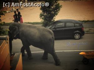 [P26] Faună, Eforie Sud.  » foto by cod_gabriel
 - 
<span class="allrVoted glyphicon glyphicon-heart hidden" id="av824182"></span>
<a class="m-l-10 hidden" id="sv824182" onclick="voting_Foto_DelVot(,824182,19965)" role="button">șterge vot <span class="glyphicon glyphicon-remove"></span></a>
<a id="v9824182" class=" c-red"  onclick="voting_Foto_SetVot(824182)" role="button"><span class="glyphicon glyphicon-heart-empty"></span> <b>LIKE</b> = Votează poza</a> <img class="hidden"  id="f824182W9" src="/imagini/loader.gif" border="0" /><span class="AjErrMes hidden" id="e824182ErM"></span>