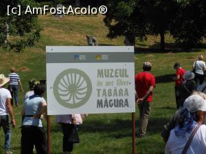 [P01] Tabara de sculptura Magura - Muzeu in aer liber. » foto by iulianic
 - 
<span class="allrVoted glyphicon glyphicon-heart hidden" id="av1325649"></span>
<a class="m-l-10 hidden" id="sv1325649" onclick="voting_Foto_DelVot(,1325649,19973)" role="button">șterge vot <span class="glyphicon glyphicon-remove"></span></a>
<a id="v91325649" class=" c-red"  onclick="voting_Foto_SetVot(1325649)" role="button"><span class="glyphicon glyphicon-heart-empty"></span> <b>LIKE</b> = Votează poza</a> <img class="hidden"  id="f1325649W9" src="/imagini/loader.gif" border="0" /><span class="AjErrMes hidden" id="e1325649ErM"></span>