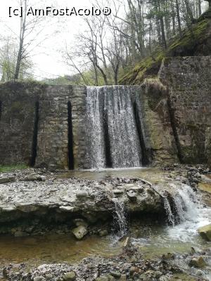 [P18] Cascada cu apa (primavara) » foto by olteanul2010
 - 
<span class="allrVoted glyphicon glyphicon-heart hidden" id="av1224358"></span>
<a class="m-l-10 hidden" id="sv1224358" onclick="voting_Foto_DelVot(,1224358,19976)" role="button">șterge vot <span class="glyphicon glyphicon-remove"></span></a>
<a id="v91224358" class=" c-red"  onclick="voting_Foto_SetVot(1224358)" role="button"><span class="glyphicon glyphicon-heart-empty"></span> <b>LIKE</b> = Votează poza</a> <img class="hidden"  id="f1224358W9" src="/imagini/loader.gif" border="0" /><span class="AjErrMes hidden" id="e1224358ErM"></span>