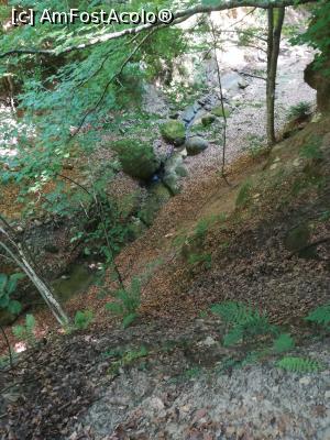 [P09] Vedere de pe traseu » foto by olteanul2010
 - 
<span class="allrVoted glyphicon glyphicon-heart hidden" id="av1223039"></span>
<a class="m-l-10 hidden" id="sv1223039" onclick="voting_Foto_DelVot(,1223039,19976)" role="button">șterge vot <span class="glyphicon glyphicon-remove"></span></a>
<a id="v91223039" class=" c-red"  onclick="voting_Foto_SetVot(1223039)" role="button"><span class="glyphicon glyphicon-heart-empty"></span> <b>LIKE</b> = Votează poza</a> <img class="hidden"  id="f1223039W9" src="/imagini/loader.gif" border="0" /><span class="AjErrMes hidden" id="e1223039ErM"></span>