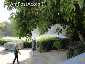 [P55] Multă verdeață în jurul cascadelor.  » foto by maryka
 - 
<span class="allrVoted glyphicon glyphicon-heart hidden" id="av1116879"></span>
<a class="m-l-10 hidden" id="sv1116879" onclick="voting_Foto_DelVot(,1116879,20055)" role="button">șterge vot <span class="glyphicon glyphicon-remove"></span></a>
<a id="v91116879" class=" c-red"  onclick="voting_Foto_SetVot(1116879)" role="button"><span class="glyphicon glyphicon-heart-empty"></span> <b>LIKE</b> = Votează poza</a> <img class="hidden"  id="f1116879W9" src="/imagini/loader.gif" border="0" /><span class="AjErrMes hidden" id="e1116879ErM"></span>