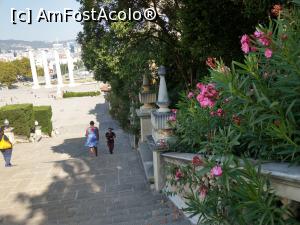 [P58] Leandrii parfumați lângă treptele muzeului.  » foto by maryka
 - 
<span class="allrVoted glyphicon glyphicon-heart hidden" id="av1116882"></span>
<a class="m-l-10 hidden" id="sv1116882" onclick="voting_Foto_DelVot(,1116882,20055)" role="button">șterge vot <span class="glyphicon glyphicon-remove"></span></a>
<a id="v91116882" class=" c-red"  onclick="voting_Foto_SetVot(1116882)" role="button"><span class="glyphicon glyphicon-heart-empty"></span> <b>LIKE</b> = Votează poza</a> <img class="hidden"  id="f1116882W9" src="/imagini/loader.gif" border="0" /><span class="AjErrMes hidden" id="e1116882ErM"></span>