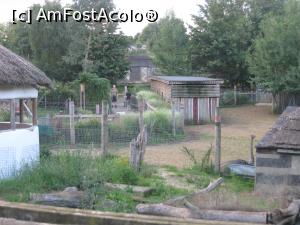 [P09] Gradina zoo din spatele hotelului.  » foto by PISICAANA
 - 
<span class="allrVoted glyphicon glyphicon-heart hidden" id="av728750"></span>
<a class="m-l-10 hidden" id="sv728750" onclick="voting_Foto_DelVot(,728750,20144)" role="button">șterge vot <span class="glyphicon glyphicon-remove"></span></a>
<a id="v9728750" class=" c-red"  onclick="voting_Foto_SetVot(728750)" role="button"><span class="glyphicon glyphicon-heart-empty"></span> <b>LIKE</b> = Votează poza</a> <img class="hidden"  id="f728750W9" src="/imagini/loader.gif" border="0" /><span class="AjErrMes hidden" id="e728750ErM"></span>