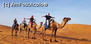 [P11] Camilele erau oprite si beduinul ne-a pus sa desfacem bratele si sa strigam:" Africa" , in timp ce el ne facea poza » foto by Dorina9
 - 
<span class="allrVoted glyphicon glyphicon-heart hidden" id="av1149270"></span>
<a class="m-l-10 hidden" id="sv1149270" onclick="voting_Foto_DelVot(,1149270,20176)" role="button">șterge vot <span class="glyphicon glyphicon-remove"></span></a>
<a id="v91149270" class=" c-red"  onclick="voting_Foto_SetVot(1149270)" role="button"><span class="glyphicon glyphicon-heart-empty"></span> <b>LIKE</b> = Votează poza</a> <img class="hidden"  id="f1149270W9" src="/imagini/loader.gif" border="0" /><span class="AjErrMes hidden" id="e1149270ErM"></span>