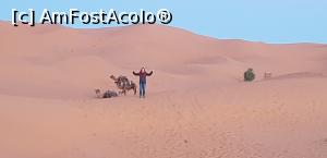 [P25] La rasarit, printre camile, " Africa" , salutul cu bratele deschise » foto by Dorina9
 - 
<span class="allrVoted glyphicon glyphicon-heart hidden" id="av1149284"></span>
<a class="m-l-10 hidden" id="sv1149284" onclick="voting_Foto_DelVot(,1149284,20176)" role="button">șterge vot <span class="glyphicon glyphicon-remove"></span></a>
<a id="v91149284" class=" c-red"  onclick="voting_Foto_SetVot(1149284)" role="button"><span class="glyphicon glyphicon-heart-empty"></span> <b>LIKE</b> = Votează poza</a> <img class="hidden"  id="f1149284W9" src="/imagini/loader.gif" border="0" /><span class="AjErrMes hidden" id="e1149284ErM"></span>