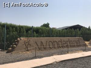 [P32] Sand City Hurghada - Oraşul de Nisip - Wonderland » foto by nicole33
 - 
<span class="allrVoted glyphicon glyphicon-heart hidden" id="av1023095"></span>
<a class="m-l-10 hidden" id="sv1023095" onclick="voting_Foto_DelVot(,1023095,20178)" role="button">șterge vot <span class="glyphicon glyphicon-remove"></span></a>
<a id="v91023095" class=" c-red"  onclick="voting_Foto_SetVot(1023095)" role="button"><span class="glyphicon glyphicon-heart-empty"></span> <b>LIKE</b> = Votează poza</a> <img class="hidden"  id="f1023095W9" src="/imagini/loader.gif" border="0" /><span class="AjErrMes hidden" id="e1023095ErM"></span>