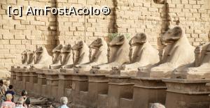 [P15] Templul din Karnak » foto by Alina Roxana
 - 
<span class="allrVoted glyphicon glyphicon-heart hidden" id="av1047436"></span>
<a class="m-l-10 hidden" id="sv1047436" onclick="voting_Foto_DelVot(,1047436,20178)" role="button">șterge vot <span class="glyphicon glyphicon-remove"></span></a>
<a id="v91047436" class=" c-red"  onclick="voting_Foto_SetVot(1047436)" role="button"><span class="glyphicon glyphicon-heart-empty"></span> <b>LIKE</b> = Votează poza</a> <img class="hidden"  id="f1047436W9" src="/imagini/loader.gif" border="0" /><span class="AjErrMes hidden" id="e1047436ErM"></span>