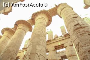 [P18] Templul din Karnak » foto by Alina Roxana
 - 
<span class="allrVoted glyphicon glyphicon-heart hidden" id="av1047439"></span>
<a class="m-l-10 hidden" id="sv1047439" onclick="voting_Foto_DelVot(,1047439,20178)" role="button">șterge vot <span class="glyphicon glyphicon-remove"></span></a>
<a id="v91047439" class=" c-red"  onclick="voting_Foto_SetVot(1047439)" role="button"><span class="glyphicon glyphicon-heart-empty"></span> <b>LIKE</b> = Votează poza</a> <img class="hidden"  id="f1047439W9" src="/imagini/loader.gif" border="0" /><span class="AjErrMes hidden" id="e1047439ErM"></span>