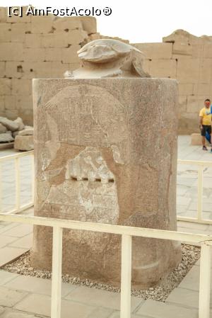 [P19] Celebrul Scarabeu » foto by Alina Roxana
 - 
<span class="allrVoted glyphicon glyphicon-heart hidden" id="av1047440"></span>
<a class="m-l-10 hidden" id="sv1047440" onclick="voting_Foto_DelVot(,1047440,20178)" role="button">șterge vot <span class="glyphicon glyphicon-remove"></span></a>
<a id="v91047440" class=" c-red"  onclick="voting_Foto_SetVot(1047440)" role="button"><span class="glyphicon glyphicon-heart-empty"></span> <b>LIKE</b> = Votează poza</a> <img class="hidden"  id="f1047440W9" src="/imagini/loader.gif" border="0" /><span class="AjErrMes hidden" id="e1047440ErM"></span>