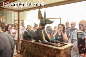 [P28] „Păzitorul” mormântului lui Tutankamon » foto by Alina Roxana
 - 
<span class="allrVoted glyphicon glyphicon-heart hidden" id="av1047459"></span>
<a class="m-l-10 hidden" id="sv1047459" onclick="voting_Foto_DelVot(,1047459,20178)" role="button">șterge vot <span class="glyphicon glyphicon-remove"></span></a>
<a id="v91047459" class=" c-red"  onclick="voting_Foto_SetVot(1047459)" role="button"><span class="glyphicon glyphicon-heart-empty"></span> <b>LIKE</b> = Votează poza</a> <img class="hidden"  id="f1047459W9" src="/imagini/loader.gif" border="0" /><span class="AjErrMes hidden" id="e1047459ErM"></span>