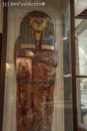 [P29] Muzeul din Cairo » foto by Alina Roxana
 - 
<span class="allrVoted glyphicon glyphicon-heart hidden" id="av1047462"></span>
<a class="m-l-10 hidden" id="sv1047462" onclick="voting_Foto_DelVot(,1047462,20178)" role="button">șterge vot <span class="glyphicon glyphicon-remove"></span></a>
<a id="v91047462" class=" c-red"  onclick="voting_Foto_SetVot(1047462)" role="button"><span class="glyphicon glyphicon-heart-empty"></span> <b>LIKE</b> = Votează poza</a> <img class="hidden"  id="f1047462W9" src="/imagini/loader.gif" border="0" /><span class="AjErrMes hidden" id="e1047462ErM"></span>