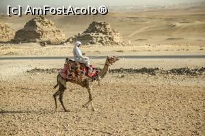 [P35] Platoul Gizeh » foto by Alina Roxana
 - 
<span class="allrVoted glyphicon glyphicon-heart hidden" id="av1047482"></span>
<a class="m-l-10 hidden" id="sv1047482" onclick="voting_Foto_DelVot(,1047482,20178)" role="button">șterge vot <span class="glyphicon glyphicon-remove"></span></a>
<a id="v91047482" class=" c-red"  onclick="voting_Foto_SetVot(1047482)" role="button"><span class="glyphicon glyphicon-heart-empty"></span> <b>LIKE</b> = Votează poza</a> <img class="hidden"  id="f1047482W9" src="/imagini/loader.gif" border="0" /><span class="AjErrMes hidden" id="e1047482ErM"></span>