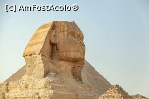 [P36] Marele Sfinx, protectorul piramidelor » foto by Alina Roxana
 - 
<span class="allrVoted glyphicon glyphicon-heart hidden" id="av1047486"></span>
<a class="m-l-10 hidden" id="sv1047486" onclick="voting_Foto_DelVot(,1047486,20178)" role="button">șterge vot <span class="glyphicon glyphicon-remove"></span></a>
<a id="v91047486" class=" c-red"  onclick="voting_Foto_SetVot(1047486)" role="button"><span class="glyphicon glyphicon-heart-empty"></span> <b>LIKE</b> = Votează poza</a> <img class="hidden"  id="f1047486W9" src="/imagini/loader.gif" border="0" /><span class="AjErrMes hidden" id="e1047486ErM"></span>