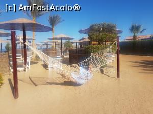 [P41] Relax total!  » foto by Alina Roxana
 - 
<span class="allrVoted glyphicon glyphicon-heart hidden" id="av1047491"></span>
<a class="m-l-10 hidden" id="sv1047491" onclick="voting_Foto_DelVot(,1047491,20178)" role="button">șterge vot <span class="glyphicon glyphicon-remove"></span></a>
<a id="v91047491" class=" c-red"  onclick="voting_Foto_SetVot(1047491)" role="button"><span class="glyphicon glyphicon-heart-empty"></span> <b>LIKE</b> = Votează poza</a> <img class="hidden"  id="f1047491W9" src="/imagini/loader.gif" border="0" /><span class="AjErrMes hidden" id="e1047491ErM"></span>