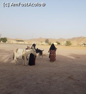 [P45] Localnice întâlnite în drumul nostru spre Luxor » foto by Alina Roxana
 - 
<span class="allrVoted glyphicon glyphicon-heart hidden" id="av1047495"></span>
<a class="m-l-10 hidden" id="sv1047495" onclick="voting_Foto_DelVot(,1047495,20178)" role="button">șterge vot <span class="glyphicon glyphicon-remove"></span></a>
<a id="v91047495" class=" c-red"  onclick="voting_Foto_SetVot(1047495)" role="button"><span class="glyphicon glyphicon-heart-empty"></span> <b>LIKE</b> = Votează poza</a> <img class="hidden"  id="f1047495W9" src="/imagini/loader.gif" border="0" /><span class="AjErrMes hidden" id="e1047495ErM"></span>