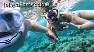 [P49] Snorkeling în Marea Roșie - activitatea preferată » foto by Alina Roxana
 - 
<span class="allrVoted glyphicon glyphicon-heart hidden" id="av1047499"></span>
<a class="m-l-10 hidden" id="sv1047499" onclick="voting_Foto_DelVot(,1047499,20178)" role="button">șterge vot <span class="glyphicon glyphicon-remove"></span></a>
<a id="v91047499" class=" c-red"  onclick="voting_Foto_SetVot(1047499)" role="button"><span class="glyphicon glyphicon-heart-empty"></span> <b>LIKE</b> = Votează poza</a> <img class="hidden"  id="f1047499W9" src="/imagini/loader.gif" border="0" /><span class="AjErrMes hidden" id="e1047499ErM"></span>