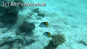 [P51] Marea Roșie și frumusețile ei<p> captura la imagine filmata cu GoPro Hero 6 » foto by Alina Roxana
 - 
<span class="allrVoted glyphicon glyphicon-heart hidden" id="av1047501"></span>
<a class="m-l-10 hidden" id="sv1047501" onclick="voting_Foto_DelVot(,1047501,20178)" role="button">șterge vot <span class="glyphicon glyphicon-remove"></span></a>
<a id="v91047501" class=" c-red"  onclick="voting_Foto_SetVot(1047501)" role="button"><span class="glyphicon glyphicon-heart-empty"></span> <b>LIKE</b> = Votează poza</a> <img class="hidden"  id="f1047501W9" src="/imagini/loader.gif" border="0" /><span class="AjErrMes hidden" id="e1047501ErM"></span>