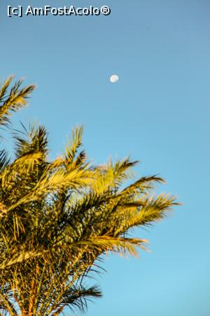 [P06]  -- <small>// FĂRĂ DESCRIERE</small> » foto by Alina Roxana
 - 
<span class="allrVoted glyphicon glyphicon-heart hidden" id="av1047427"></span>
<a class="m-l-10 hidden" id="sv1047427" onclick="voting_Foto_DelVot(,1047427,20178)" role="button">șterge vot <span class="glyphicon glyphicon-remove"></span></a>
<a id="v91047427" class=" c-red"  onclick="voting_Foto_SetVot(1047427)" role="button"><span class="glyphicon glyphicon-heart-empty"></span> <b>LIKE</b> = Votează poza</a> <img class="hidden"  id="f1047427W9" src="/imagini/loader.gif" border="0" /><span class="AjErrMes hidden" id="e1047427ErM"></span>