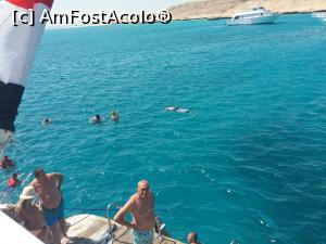 [P26] Pregatirea pentru snorkeling » foto by mosu67
 - 
<span class="allrVoted glyphicon glyphicon-heart hidden" id="av1107933"></span>
<a class="m-l-10 hidden" id="sv1107933" onclick="voting_Foto_DelVot(,1107933,20178)" role="button">șterge vot <span class="glyphicon glyphicon-remove"></span></a>
<a id="v91107933" class=" c-red"  onclick="voting_Foto_SetVot(1107933)" role="button"><span class="glyphicon glyphicon-heart-empty"></span> <b>LIKE</b> = Votează poza</a> <img class="hidden"  id="f1107933W9" src="/imagini/loader.gif" border="0" /><span class="AjErrMes hidden" id="e1107933ErM"></span>